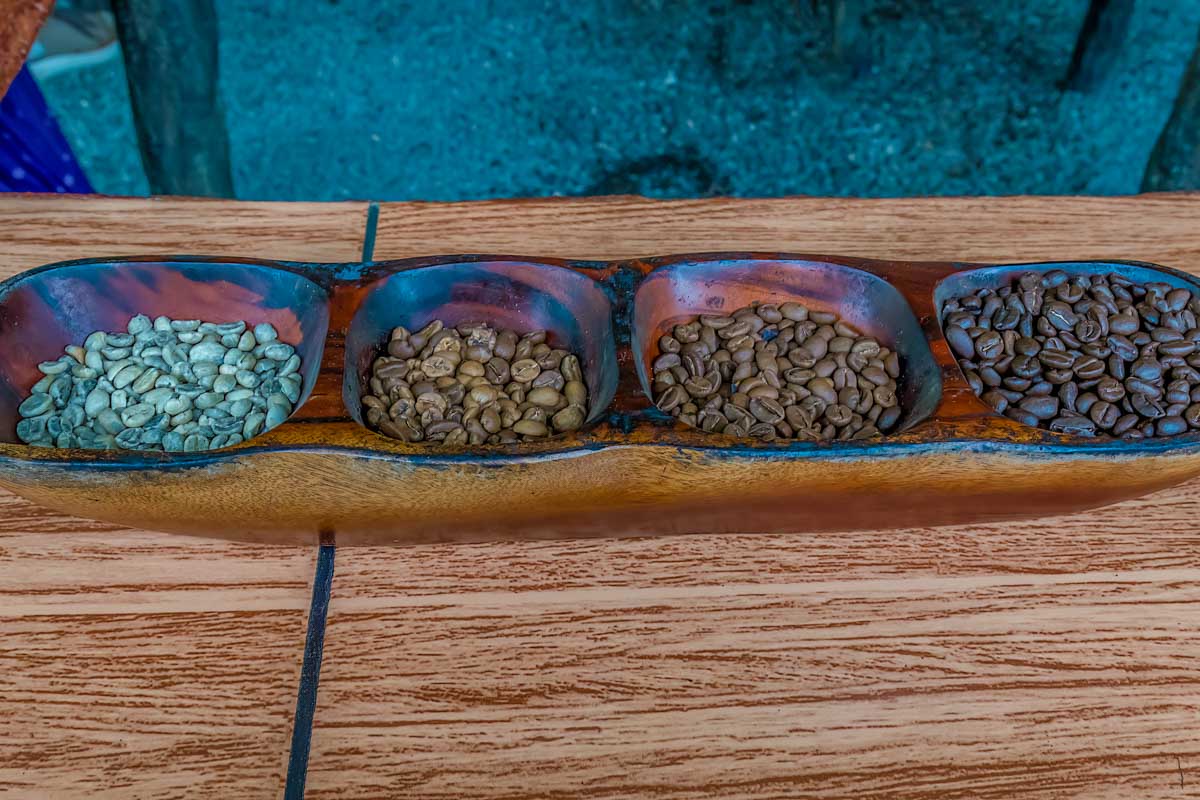Display showing the color of coffee beans at different stages of roasting in Costa Rica