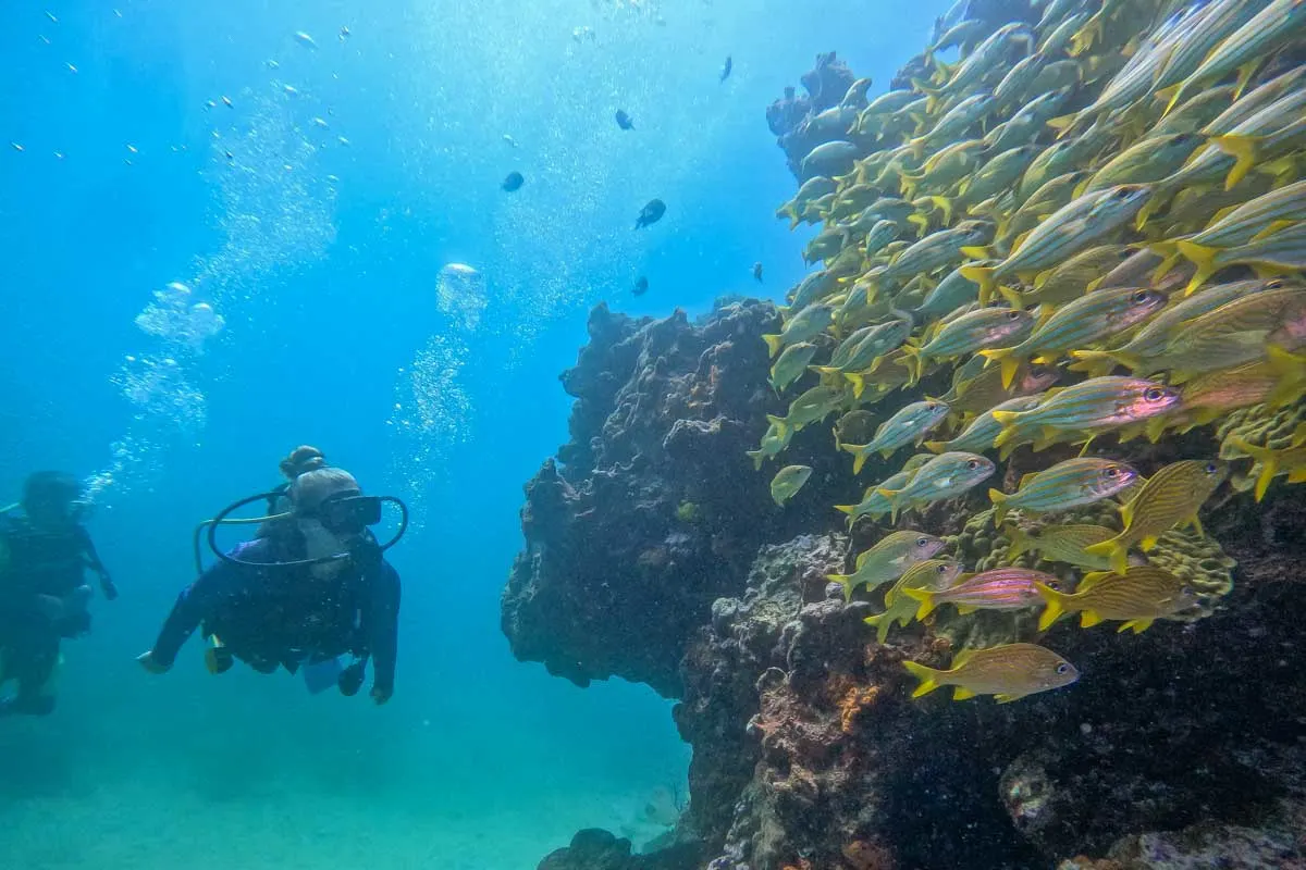 Scuba diving in Costa rica