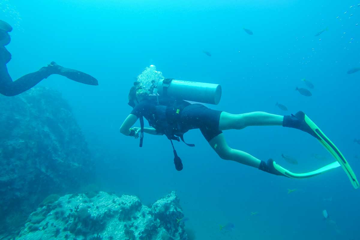 Bailey swims past while scuba diving in Tamarindo, Costa Rica