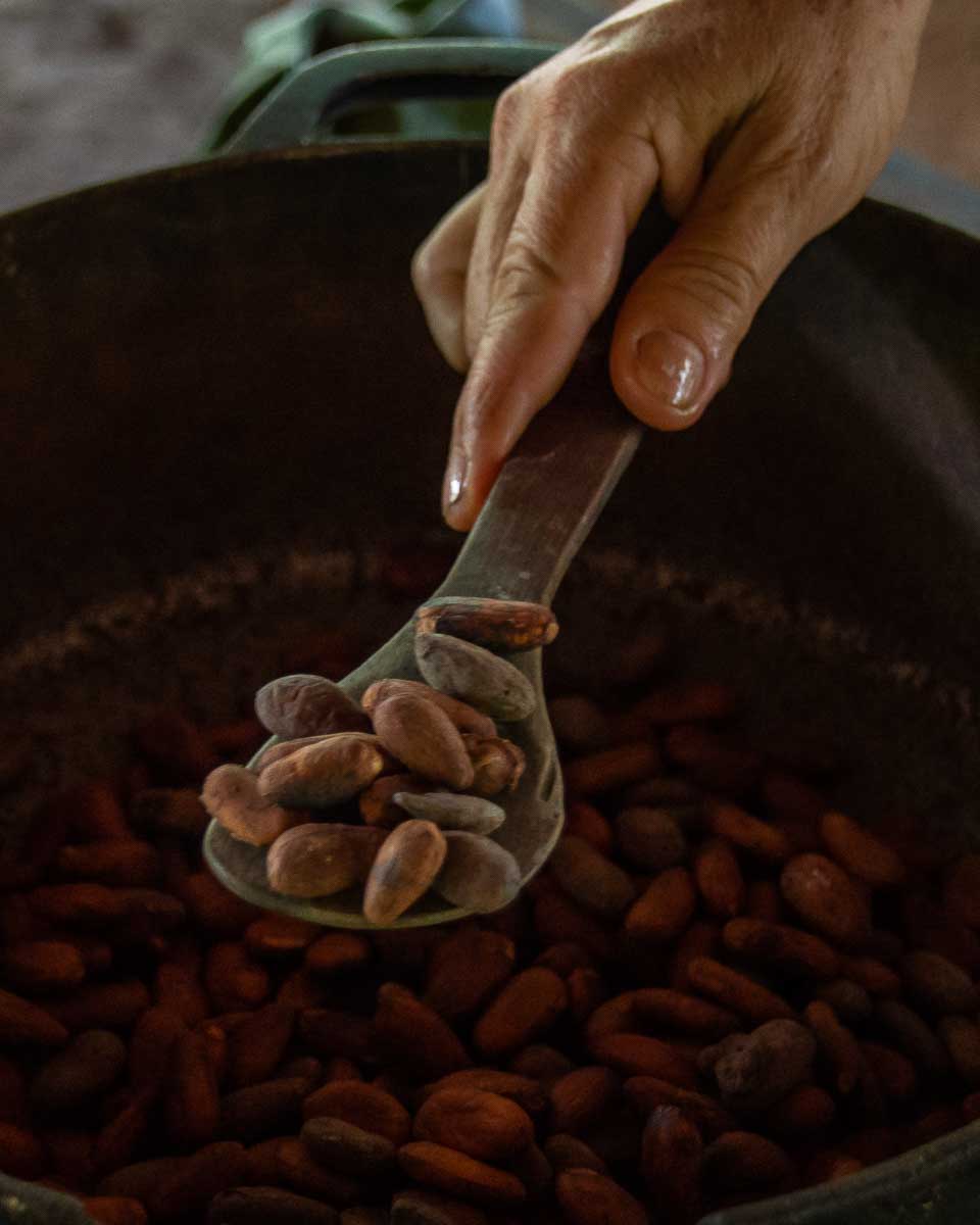 Cacao beans on a chocolate tour in La Fortuna