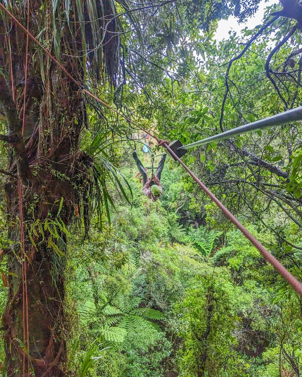 Ziplining in Costa Rica near La fortun on a ziplining tour