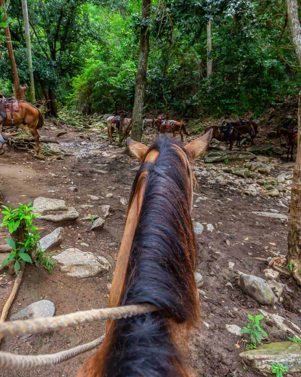 Horseback-riding-on-a-tour-in-Jaco-Costa-Rica