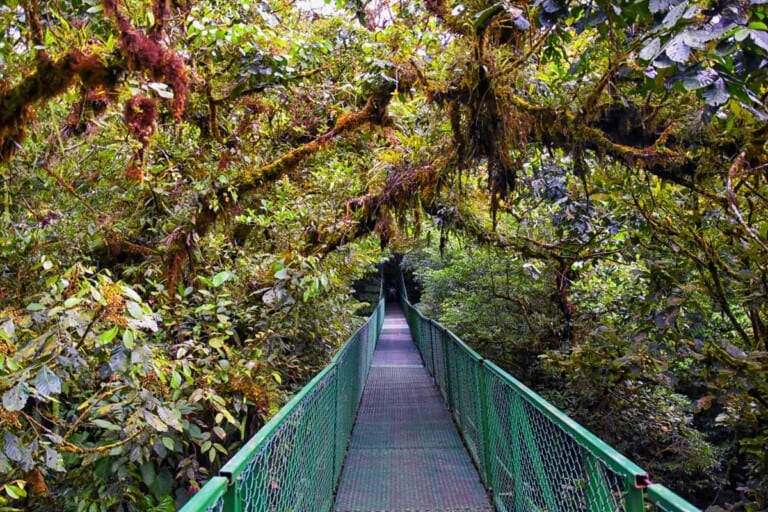 Monteverde Cloud Forest Reserve seen in Costa Rica