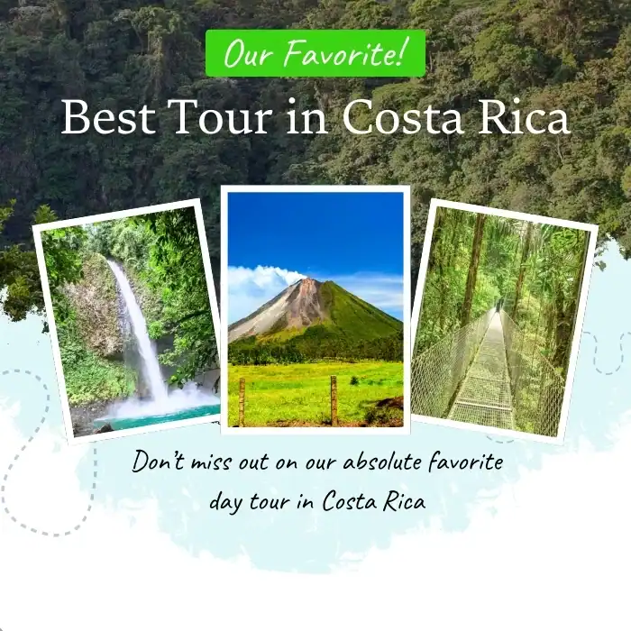 21 BEST Things To Do In Uvita Costa Rica Our Favorite Activities 