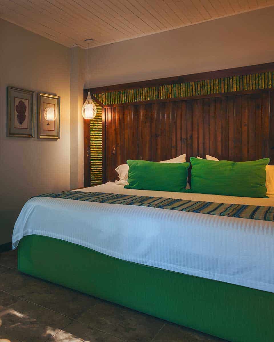 Jungle Vista Boutique Hotel near Manuel Antonio Costa Rica-2