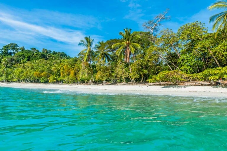 A tropical beach in Manuel Antonio National Park Costa Rica