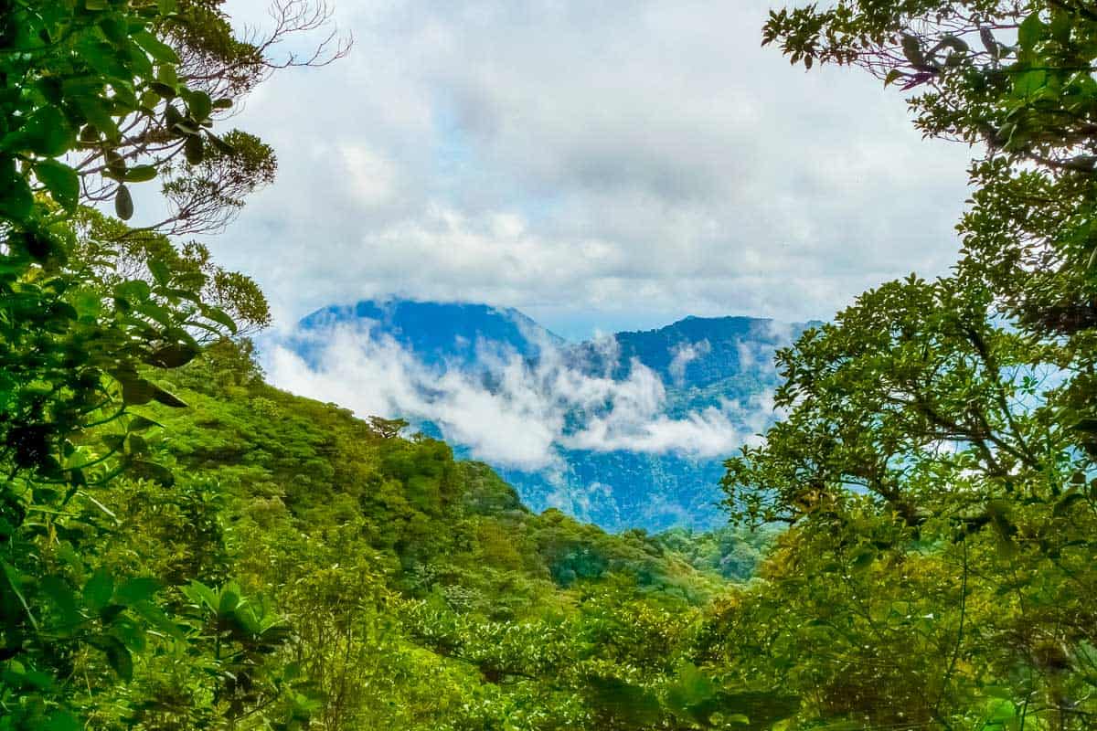 Hiking trail in cloud forest of Monteverde Costa Rica 1