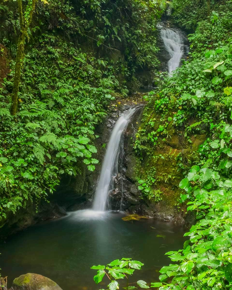 San Luis waterfall in the Monteverde Cloud Forest Costa Rica