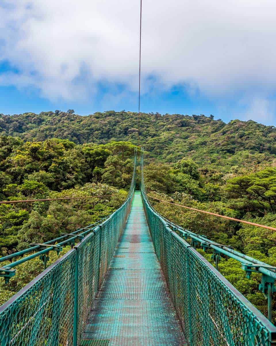 Selvatura Park Hanging Bridges in Monteverde Costa Rica (2)